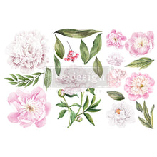 Load image into Gallery viewer, Redesign Decor Transfers® MORNING PEONIES