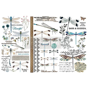 Redesign Decor Transfers® SPRING DRAGONFLY