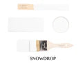 Load image into Gallery viewer, FUSION™ Mineral Paint - Snow Drop