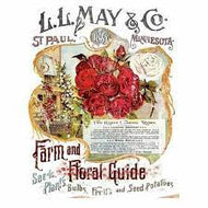 IOD Transfer - LL May II