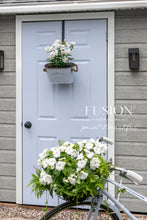 Load image into Gallery viewer, FUSION™ Mineral Paint - Mist - 20% OFF AT CHECKOUT