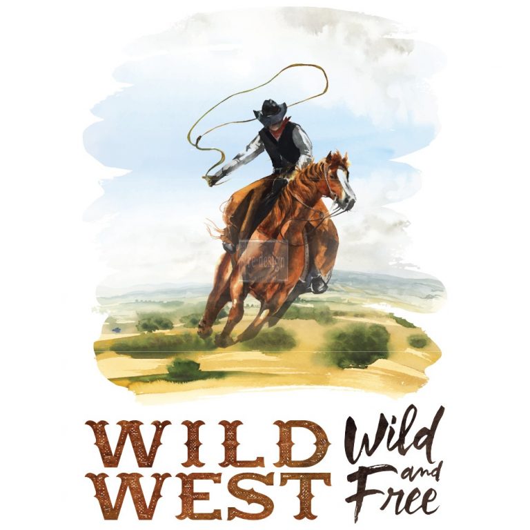 ReDesign Transfer - Wild West