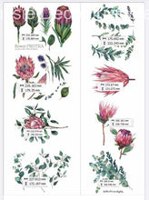 Load image into Gallery viewer, Aussie Transfers - Australian Wildflowers II Proteas