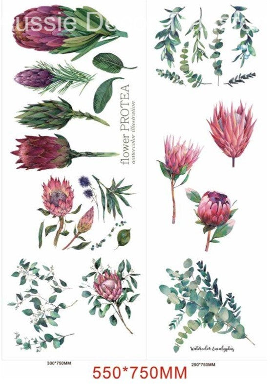 Aussie Transfers - Australian Wildflowers II Proteas